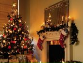 Фотография Водолазской Елизаветы