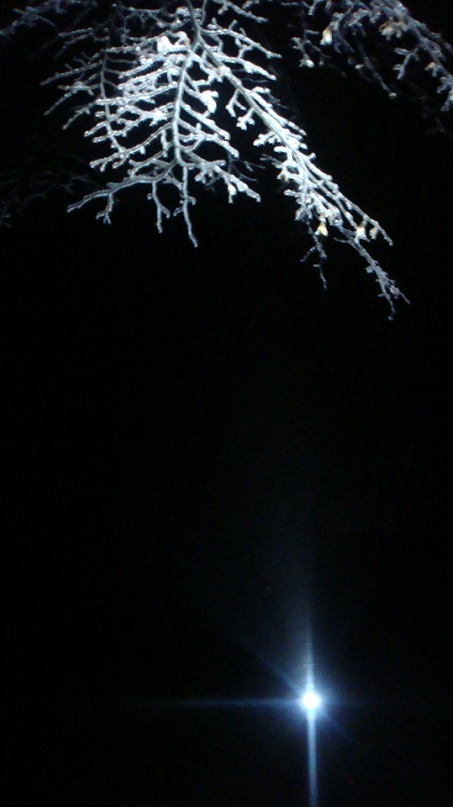 Анна Дрожжина фотография #24