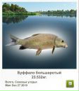 Ігор Крупела фотография #5 (источник - https://vk.com/id83319063)