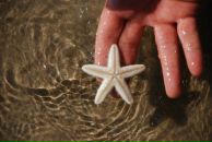 Фотография Турковой-Быковой Евгении