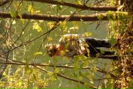 Фотография Хасановой Марии