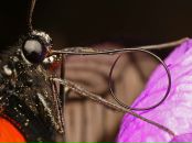 Віктор Якубовський фотография #20 (источник - https://vk.com/id8578390)