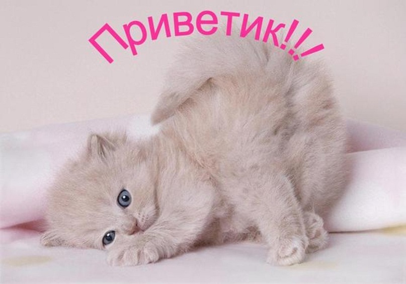 Татьяна Пухленко фотография #29