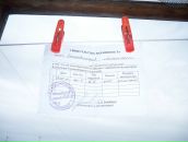 Фотография Бельчиковой Анастасии