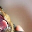 Каріно4ка♥ Шрамко фотография #27 (источник - https://vk.com/id147791993)