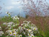 Лілія Равлик фотография #22 (источник - https://vk.com/id56085304)