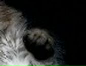 Лєра Щербина фотография #36 (источник - https://vk.com/id68521705)