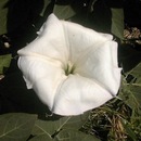 Иван Донченко фотография #15 (источник - https://vk.com/id11093395)