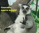 Фотография Ильина Виктора