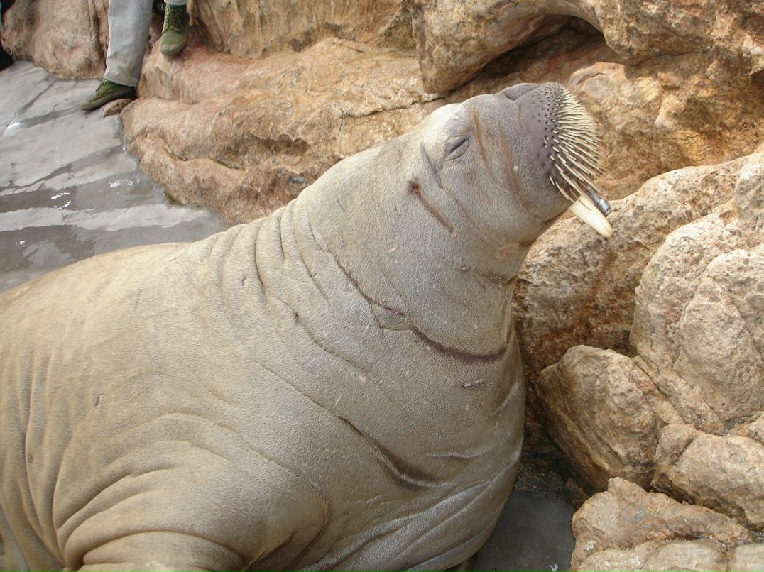 Дмитрий Тимохин фотография #41