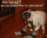 Фотография Орловой Оксаны