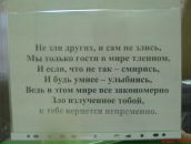 Фотография Степановой Катерины