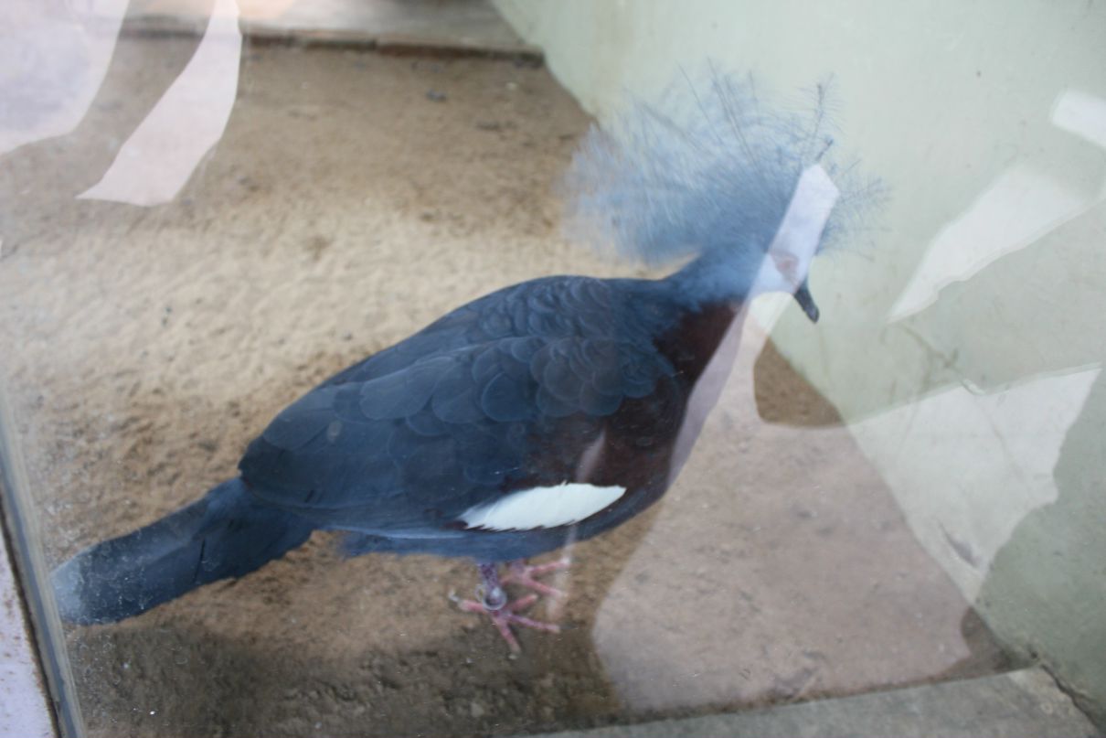 Dima Suharev фотография #24