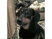 Фотография Слепуховой Дианы