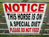 Фотография Patarakina Sophico