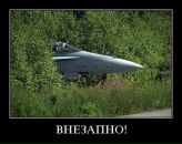 Константин Кудин фотография #46 (источник - https://vk.com/id108647)