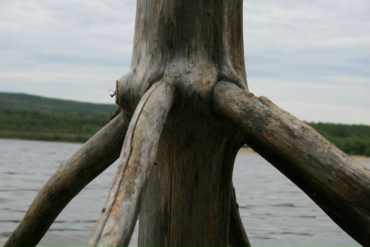 Санчес Вер фотография #49