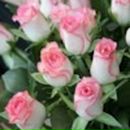 Фотография Абдюшевой Рамили