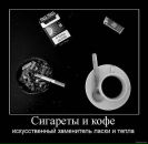 Аліна Котова фотография #35 (источник - https://vk.com/id6179769)