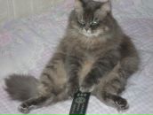 Фотография Чернышевой Юли