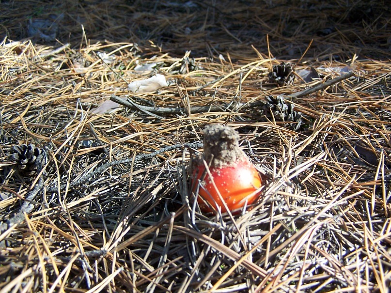 Сергей Калиниченко фотография #45