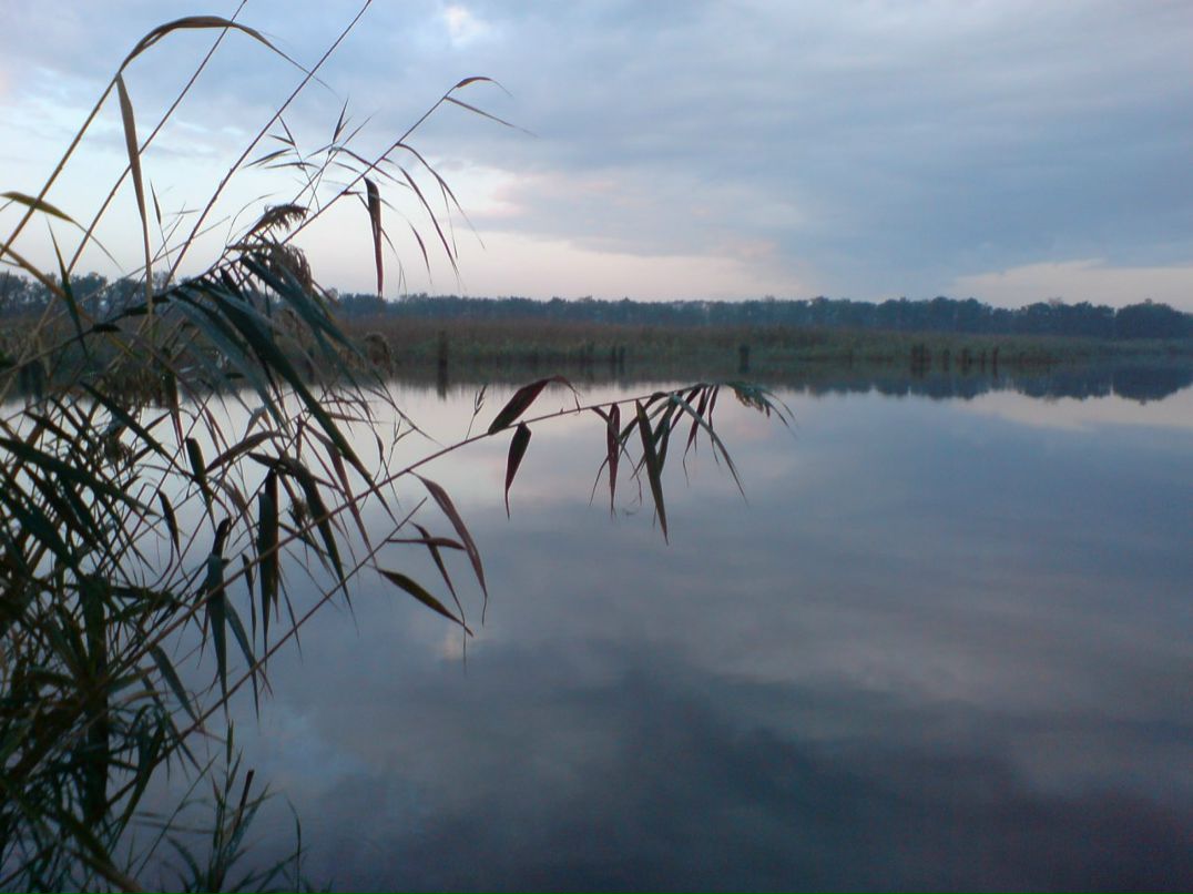 Павел Пашенко фотография #25