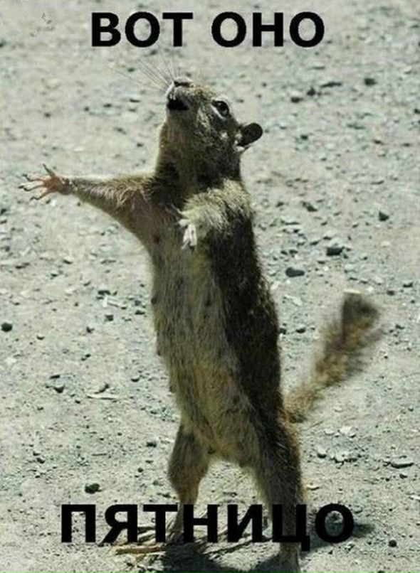 Дмитрий Чаркин фотография #24