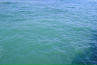 Princessa София фотография #39 (источник - https://vk.com/id852922)