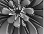 Ірина Смачило фотография #13 (источник - https://vk.com/id133972009)