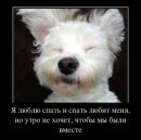 Юрій Кушнір фотография #14 (источник - https://vk.com/id154566594)