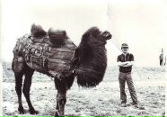 Фотография Петрова Владимира