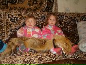 Галина Січак фотография #14 (источник - https://vk.com/id136339424)