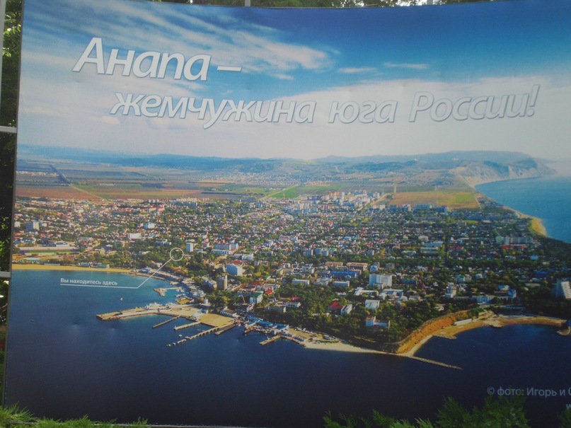 Дмитрий Галиулин фотография #49