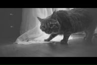 Маша Савельева фотография #8 (источник - https://vk.com/id3765176)