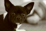 Макс Гашников фотография #42 (источник - https://vk.com/id70243)