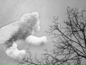 Фотография Кузьмина Сергея