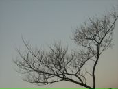 Фотография Андреевой Олеси