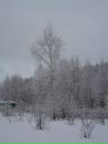 Иван Самуленков фотография #38 (источник - https://vk.com/id6062893)