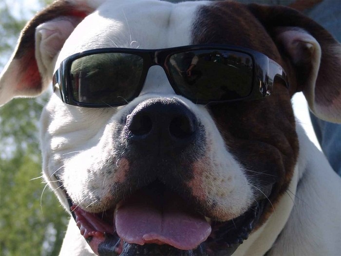 Сашка Ефременко фотография #12