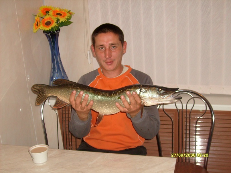 А Е П фотография #44
