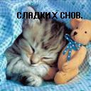 Діаночка Суравикіна фотография #9 (источник - https://vk.com/id131921948)