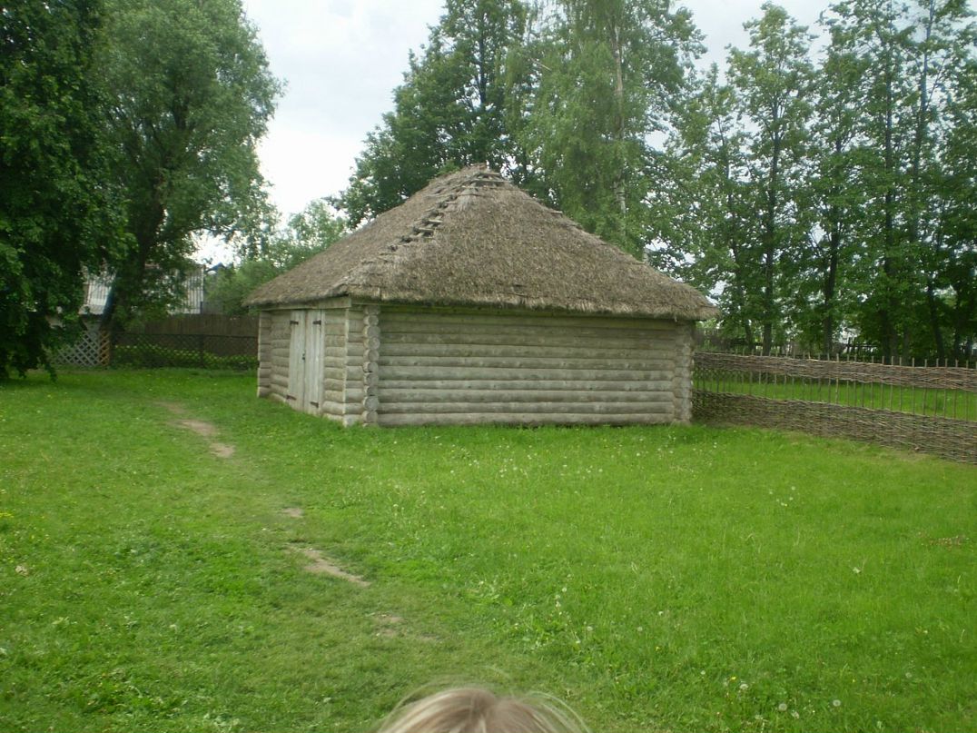Дмитрий Поляков фотография #36