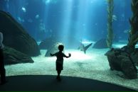 Фотография Николаева Владислава