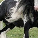 Даша Матинян фотография #29 (источник - https://vk.com/id34196743)