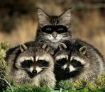 Юрій Бочковський фотография #34 (источник - https://vk.com/id8786963)