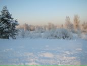 Фотография Некрасовой Наталии