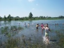Юлічка Кокот фотография #28 (источник - https://vk.com/id123832293)