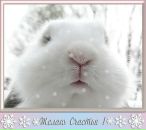 Фотография Елецкой Надежды