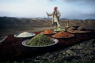 Sameem Marhat фотография #6 (источник - https://vk.com/id77612593)