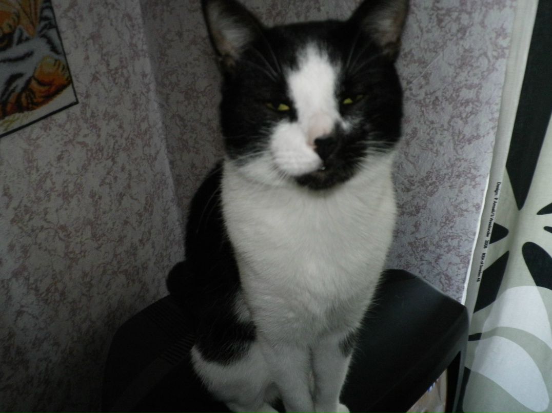 Антон Борзенков фотография #47